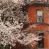 Vista esterna