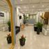 Ingresso