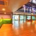 Ingresso