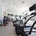 Palestra