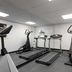 Palestra