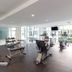 Palestra