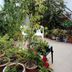 Vista esterna