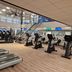 Palestra