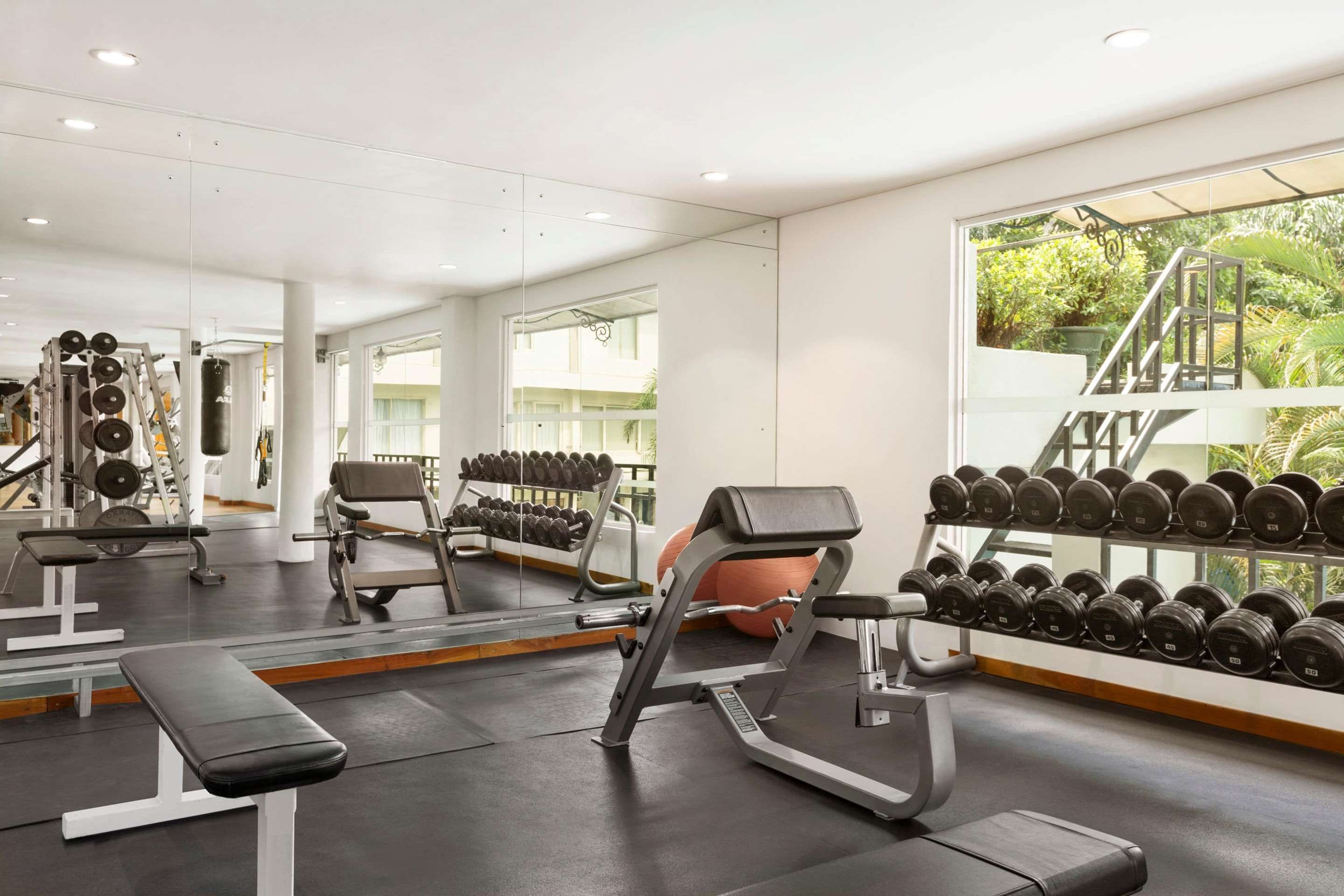 Palestra