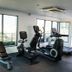 Palestra