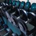 Palestra