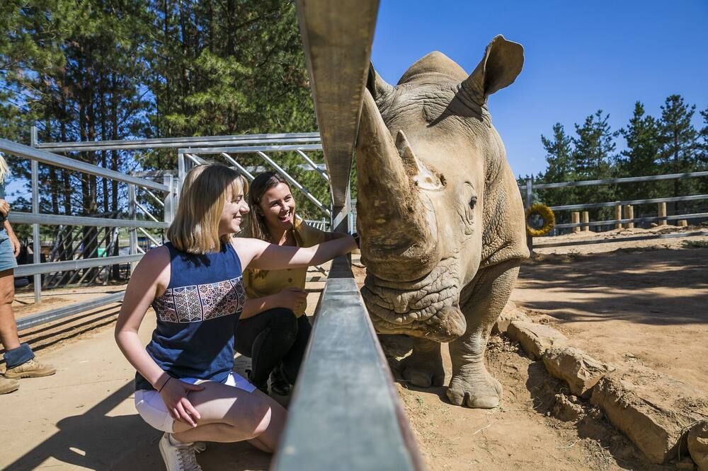 Altro
