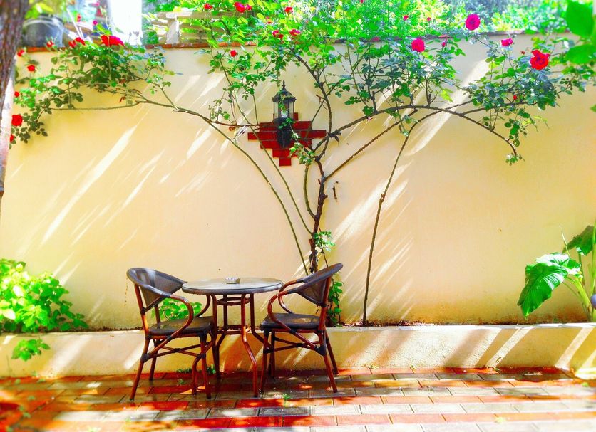 Patio Foto