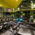 Palestra