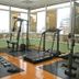 Palestra