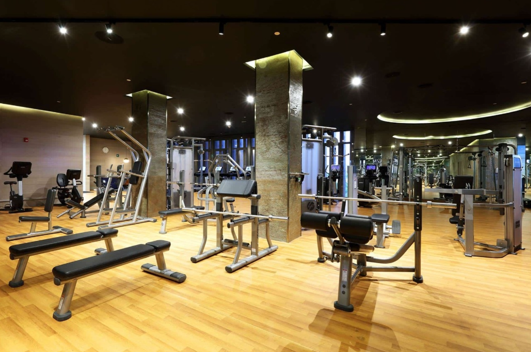 Palestra