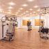 Palestra