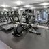 Palestra