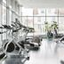 Palestra