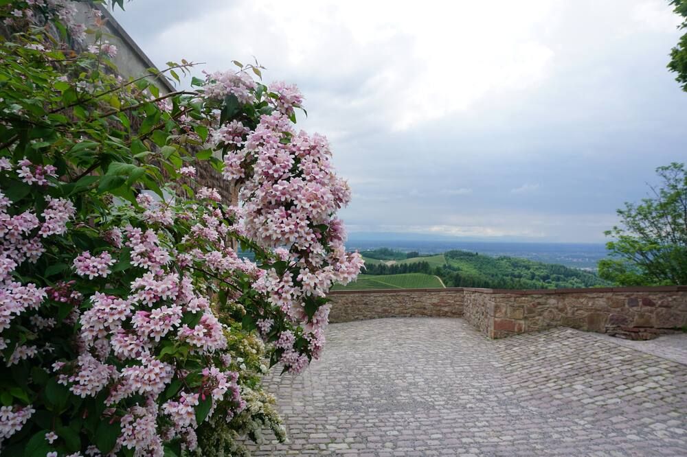Vista esterna