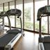 Palestra