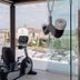 Palestra