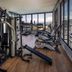 Palestra