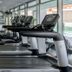Palestra