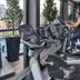 Palestra