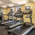Palestra