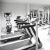 Palestra