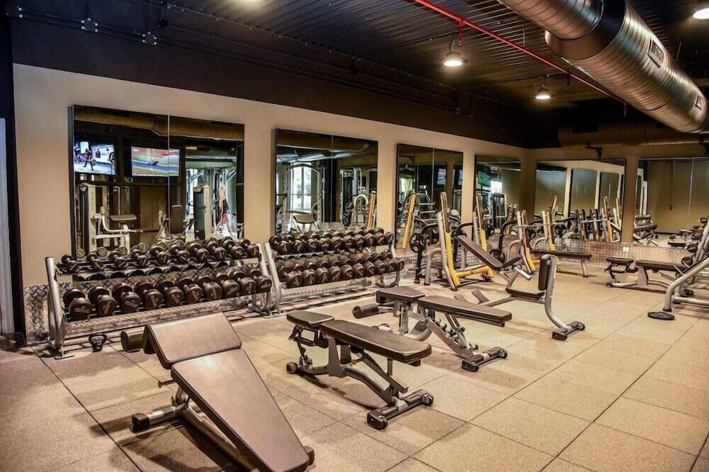 Palestra