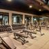 Palestra