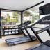 Palestra