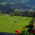Vista esterna