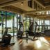Palestra