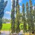 Vista esterna