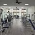 Palestra