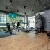 Palestra
