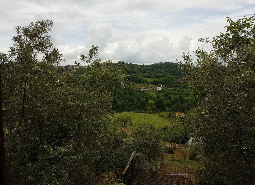 Vista esterna Foto