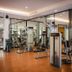 Palestra
