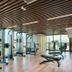 Palestra