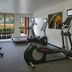 Palestra