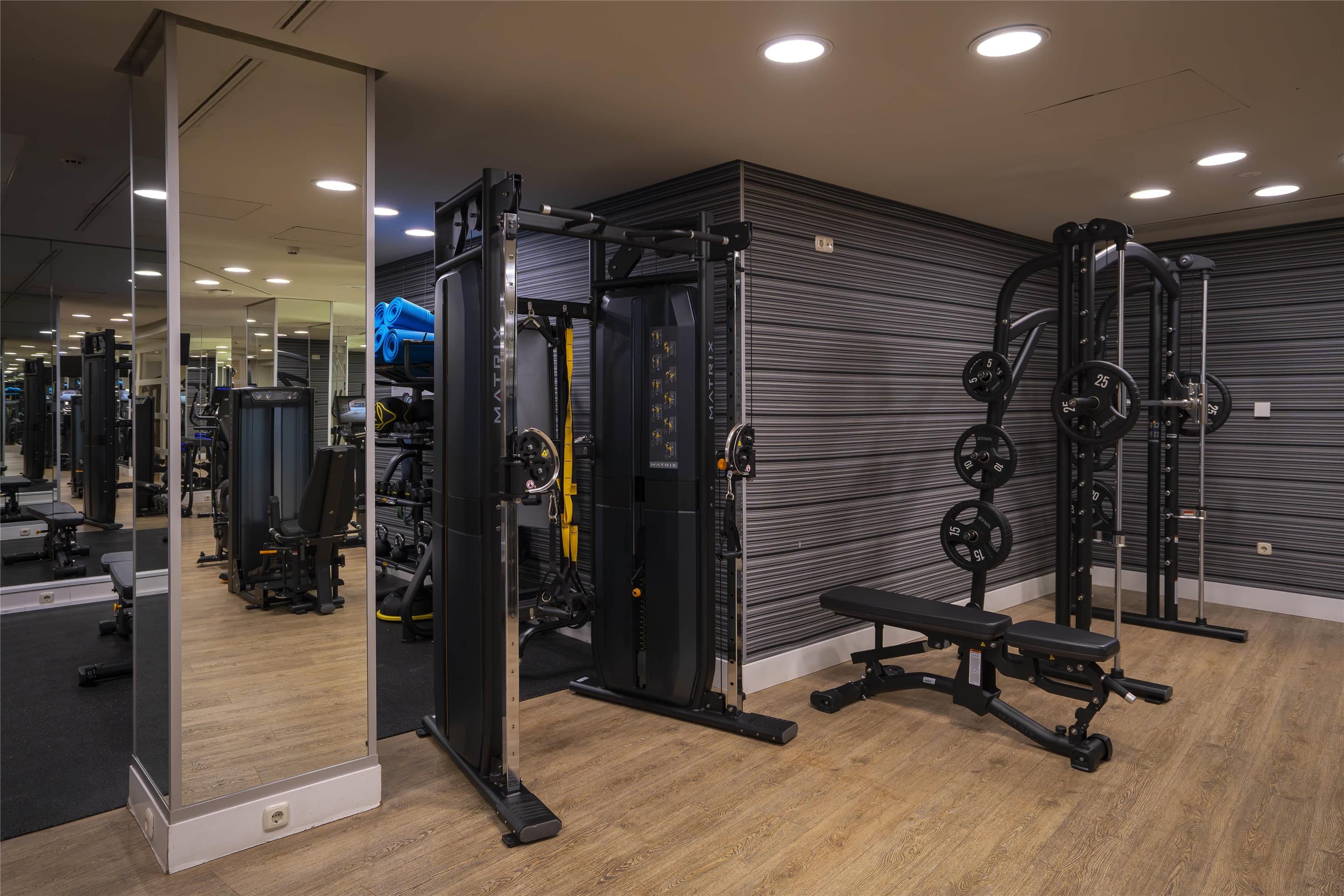 Palestra