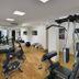 Palestra