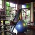 Palestra