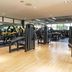 Palestra