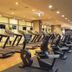 Palestra