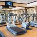 Palestra