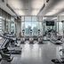 Palestra