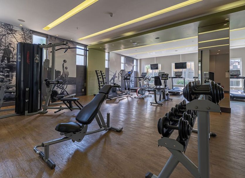 Palestra Foto
