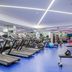 Palestra
