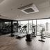 Palestra