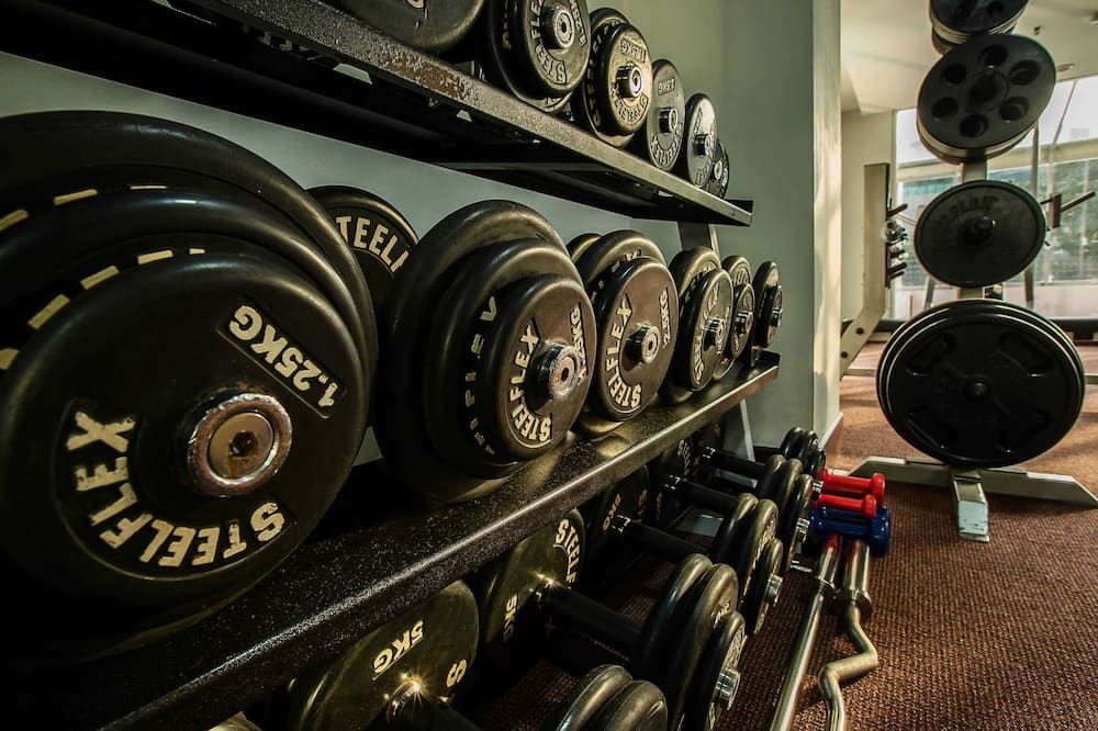 Palestra